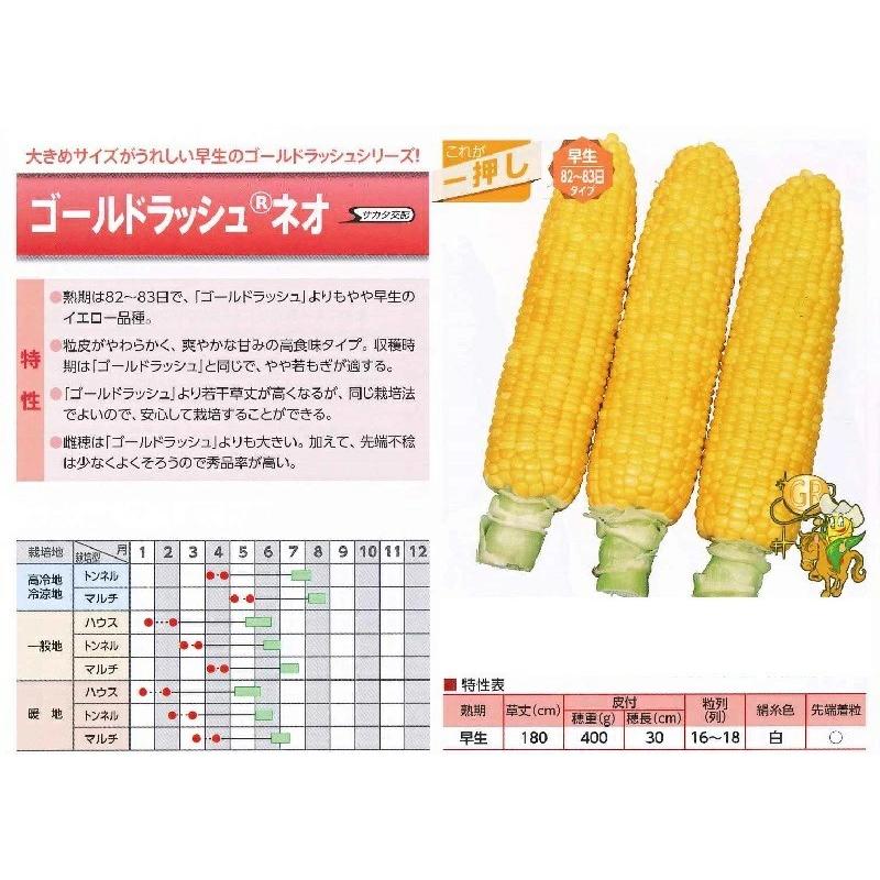 野菜種子 スイートコーン「ゴールドラッシュ ネオ」 2,000粒（サカタの