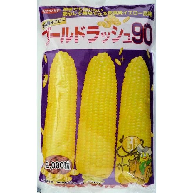 ゴールドラッシュ90 2000粒✖️6袋 野菜種子 スイートコーン「ゴールドラッシュ90」 2,000粒（サカタの