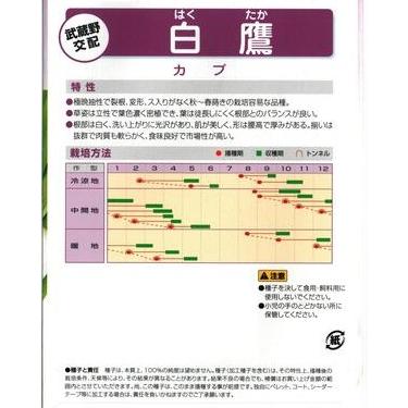 野菜種子 カブ「白鷹」 1dl（武蔵野種苗園）【送料込み】 はくたか ハクタカ 蕪 小かぶの画像