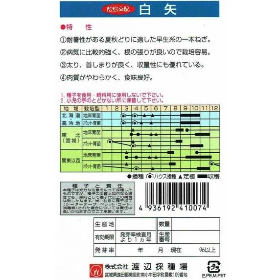 野菜種子 一本ネギ「白矢」 2dl（渡辺採種場）【送料込み】 はくや