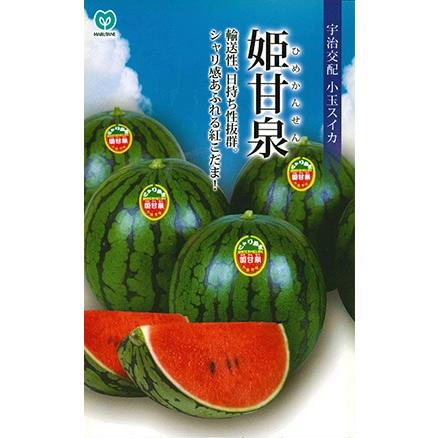 野菜種子 小玉スイカ「姫甘泉」 50粒（丸種）【送料込み】 ひめ