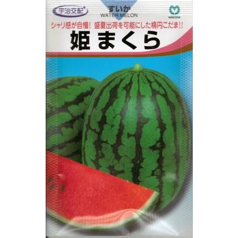 野菜種子 楕円小玉スイカ「姫まくら」 7粒（丸種）【送料込み】 ひめ