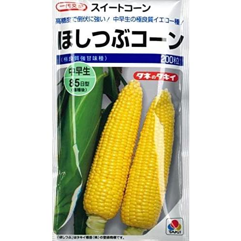 野菜種子 スイートコーン「ほしつぶコーン」 200粒（タキイ種苗）【送料込み】 ほしつぶこーん トウモロコシ とうもろこし 中早生 高糖度 極 ...