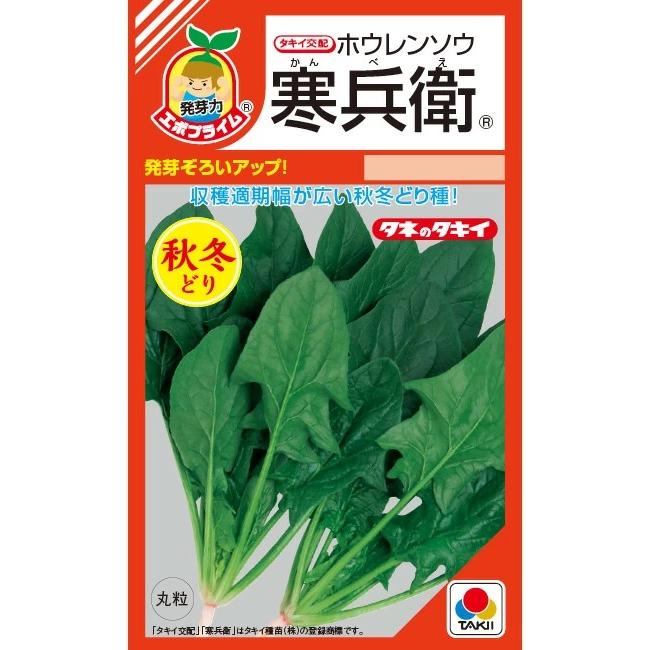 野菜種子 ホウレンソウ「寒兵衛」 40ml（約1,500粒）（タキイ種苗