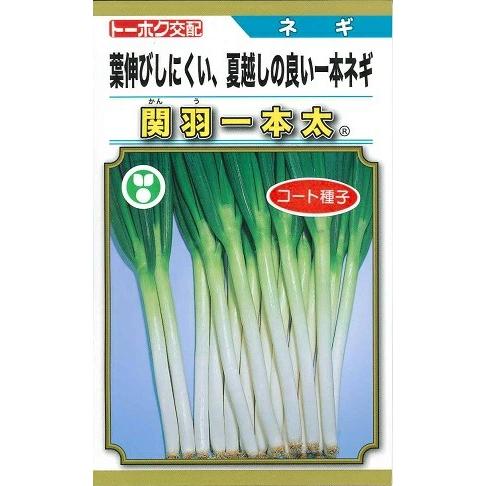 野菜種子 一本ネギ「関羽一本太葱」 コート200粒（トーホク）【送料 