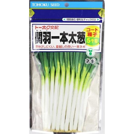 野菜種子 一本ネギ「関羽一本太葱」コート5,000粒（トーホク）【送料