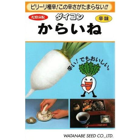 野菜種子 辛味ダイコン「からいね」 5.4ml（約170粒）（渡辺採種場