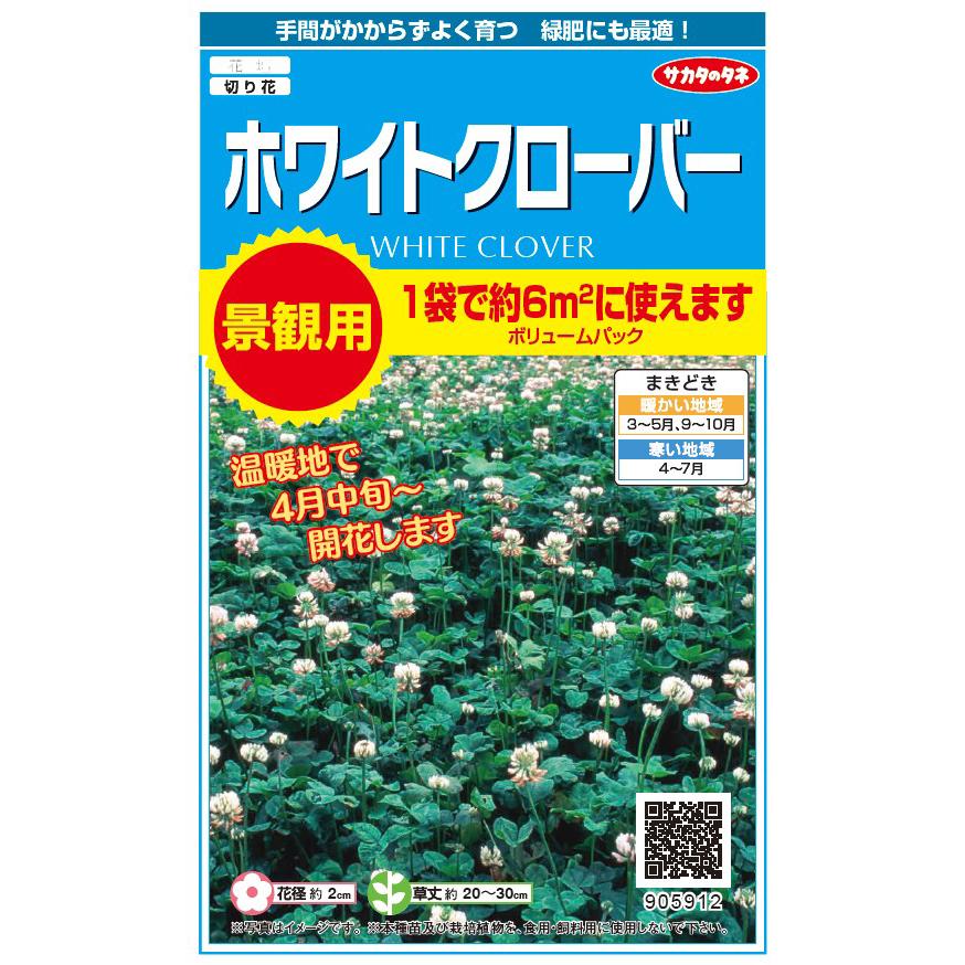 【お徳用】花種子「景観用 ホワイトクローバー」 35g（約6平米分）（サカタのタネ）【送料込み】 白詰草 しろつめくさ シロツメクサ ボリュームパック 緑肥 緑化（Yahoo!・鈴乃園 Yahoo!ショッピング店）