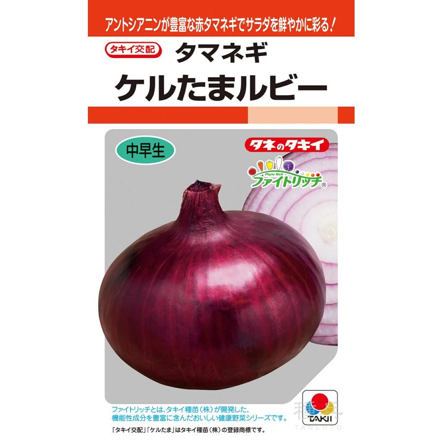 野菜種子 赤タマネギ「ケルたまルビー」 1.8ml（タキイ種苗）【送料込み】 中早生 玉葱 玉ネギ 玉ねぎ あかたまねぎ ケルタマルビー けるたまるびー（Yahoo!・鈴乃園 Yahoo!ショッピング店）