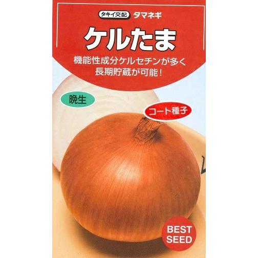 野菜種子 タマネギ「ケルたま」 2Lペレット500粒（タキイ種苗）【送料