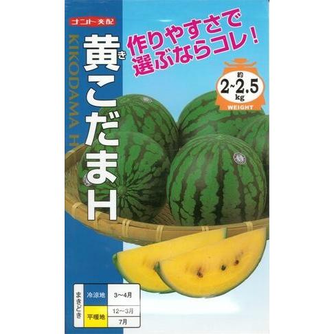 野菜種子 黄肉小玉スイカ「黄こだまH」 200粒（ナント種苗）【送料込み