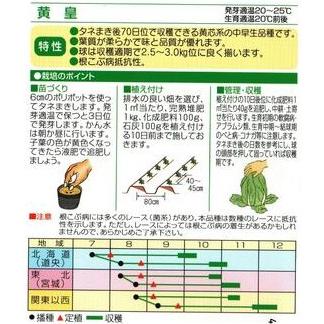 野菜種子 ハクサイ「黄皇」 20ml（渡辺採種場）【送料込み】 きこう キコウ 白菜 はくさい 中早生 根こぶ病抵抗性 70日型の画像
