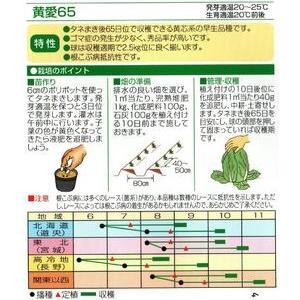野菜種子 ハクサイ「黄皇65」 20ml（渡辺採種場）【送料込み】 きこう65 キコウ65 白菜 はくさい 早生 根こぶ病抵抗性 65日型の画像