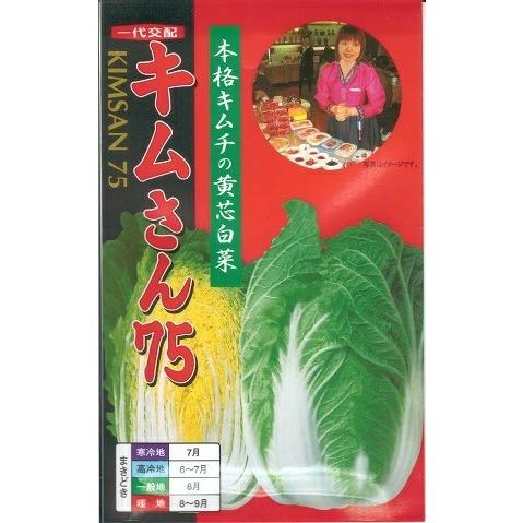 野菜 kimsun 野菜種子 本格キムチハクサイ「キムさん75」 20ml【送料込み】 旨味