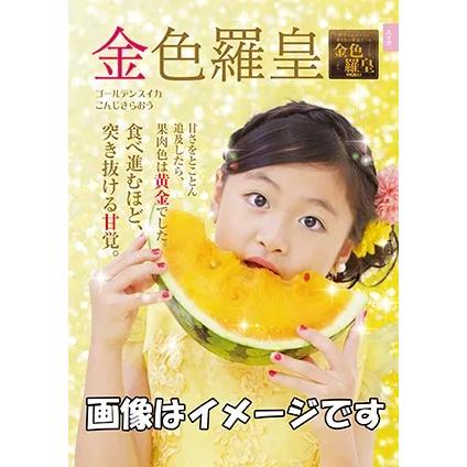 野菜種子 超糖度ゴールデンスイカ「金色羅皇」 5粒（ナント種苗）【送料込み】 こんじきらおう コンジキラオウ 西瓜 すいか 黄肉 大玉 超高糖度 中晩生（Yahoo!・鈴乃園 Yahoo!ショッピング店）