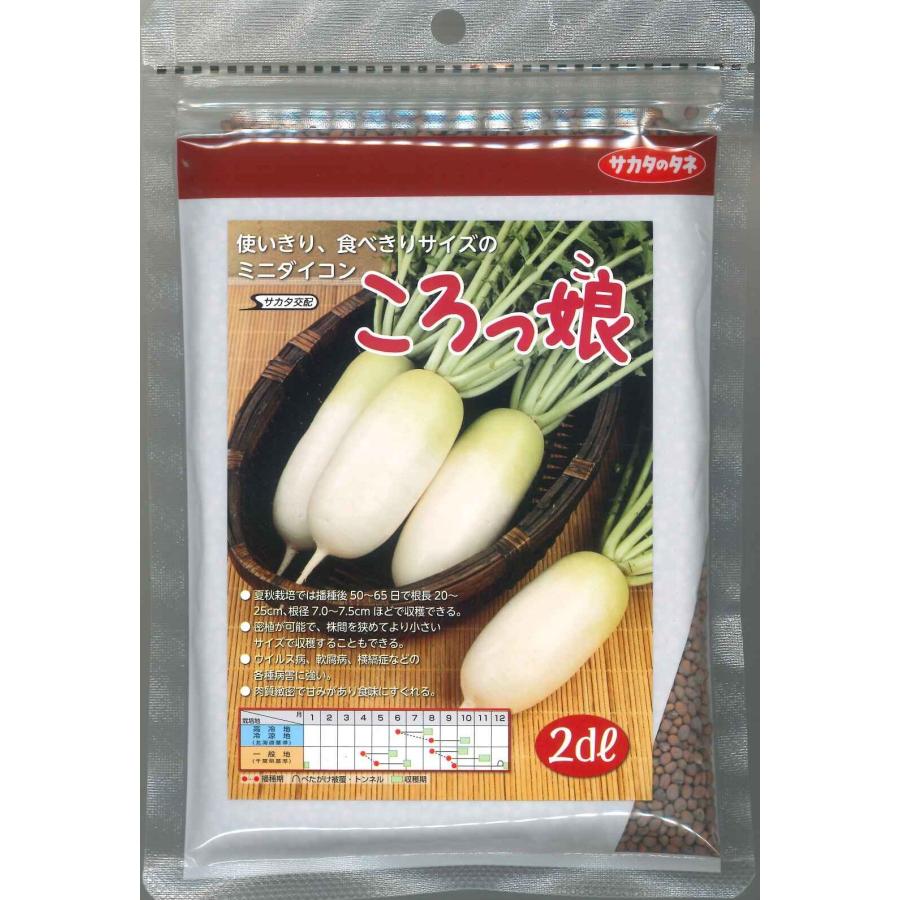 野菜種子 食べきりミニダイコン「ころっ娘」 2dl【送料込み】 大根 だいこん コロッコ ころっこの画像