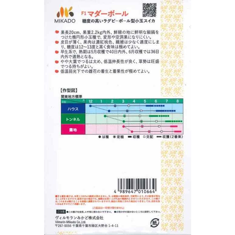 野菜種子 ラグビーボール型小玉スイカ「マダーボール」 200粒（ヴィルモランみかど）【送料込み】 種 小玉西瓜 すいか 赤肉 高糖度 低温伸長性 着果性 家庭菜園_1