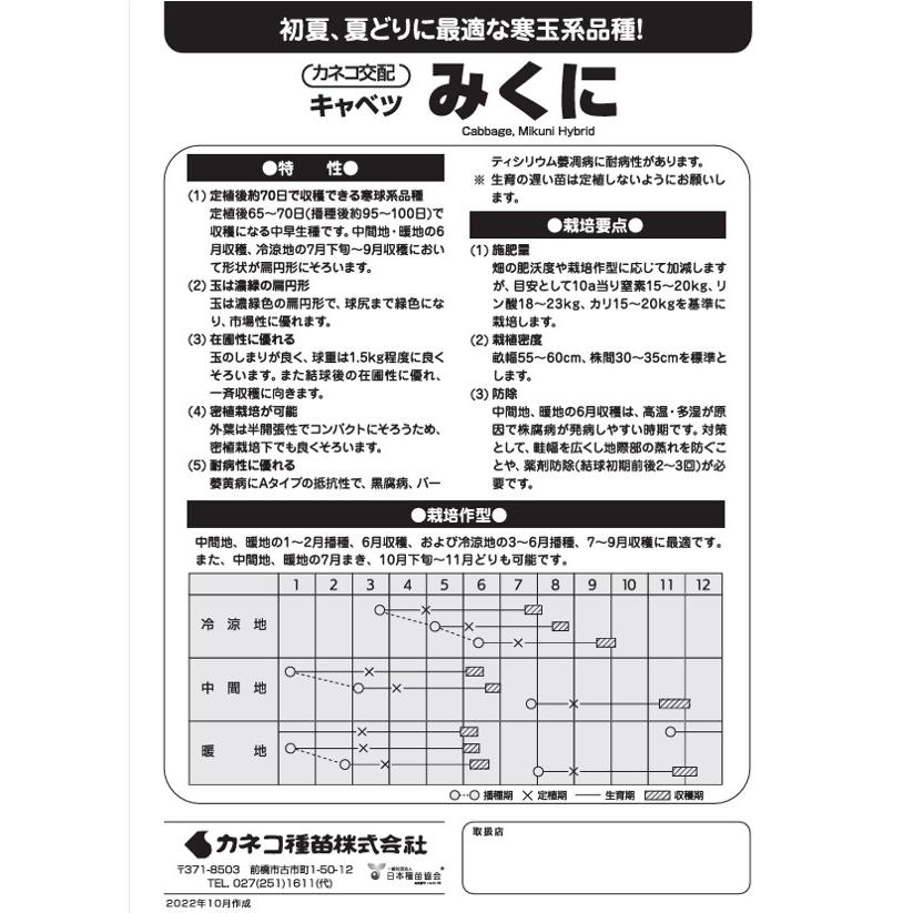 野菜種子 キャベツ「みくに」 2Lコート5,000粒（カネコ種苗）【送料込み】 ミクニ 甘藍 きゃべつ 耐病性 在圃性 中早生の画像