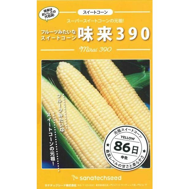 野菜種子 スーパースイートコーン「味来390」 150粒（サナテックシード