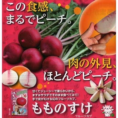野菜種子 サラダカブ「もものすけ」 20ml（ナント種苗）【送料込み】 モモノスケ 中蕪 中かぶ フルーツカブ 桃 モモ ピーチ サラダの画像