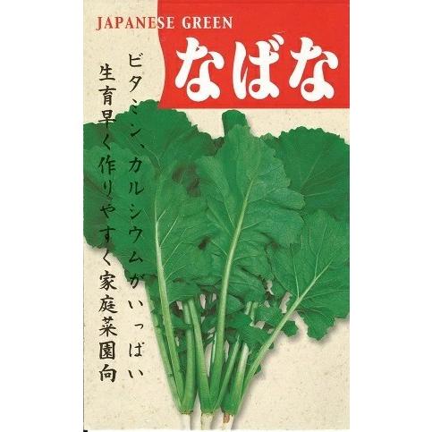 野菜種子 ナバナ「なばな」 5ml【送料込み】 菜花 菜の花 なの花