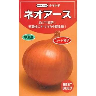 野菜種子 タマネギ「ネオアース」 2Lペレット200粒（タキイ種苗