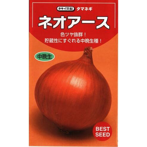 野菜種子 タマネギ「ネオアース」 20ml（タキイ種苗）【送料込み
