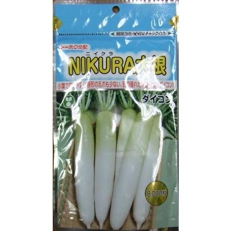 野菜種子 ダイコン「NIKURA」 8,000粒（トーホク）【送料込み
