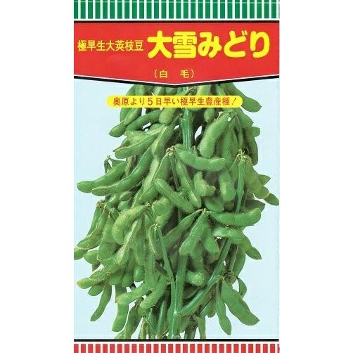 野菜種子 エダマメ「大雪みどり」 50ml（約80粒）（雪印種苗）【送料