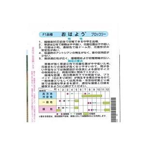 野菜種子 ブロッコリー「おはよう」 ペレット1,000粒（サカタのタネ