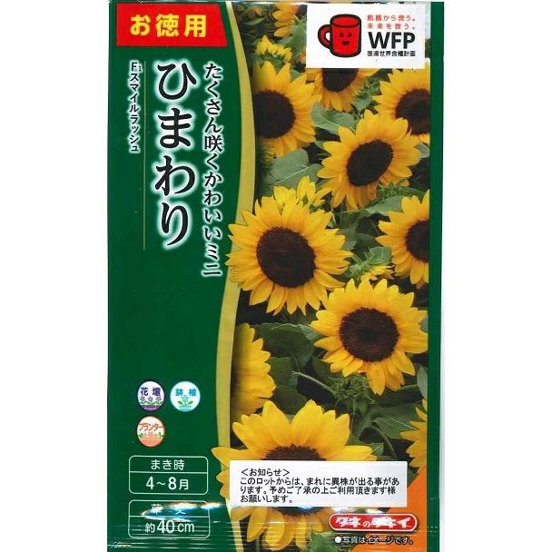 お徳用】花種子 ひまわり「スマイルラッシュ」 10ml（タキイ種苗