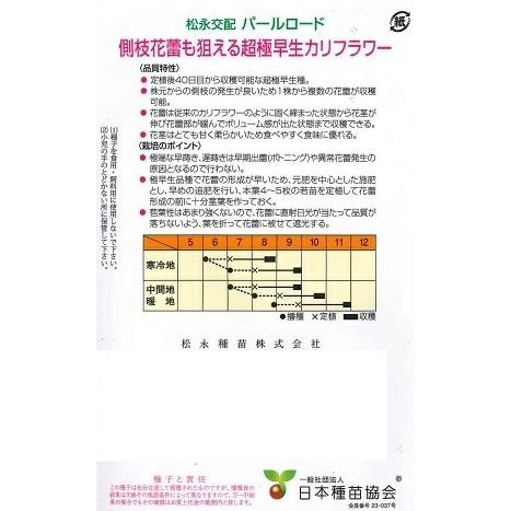 野菜種子 超極早生カリフラワー「パールロード」 2,500粒（松永種苗）【送料込み】_1