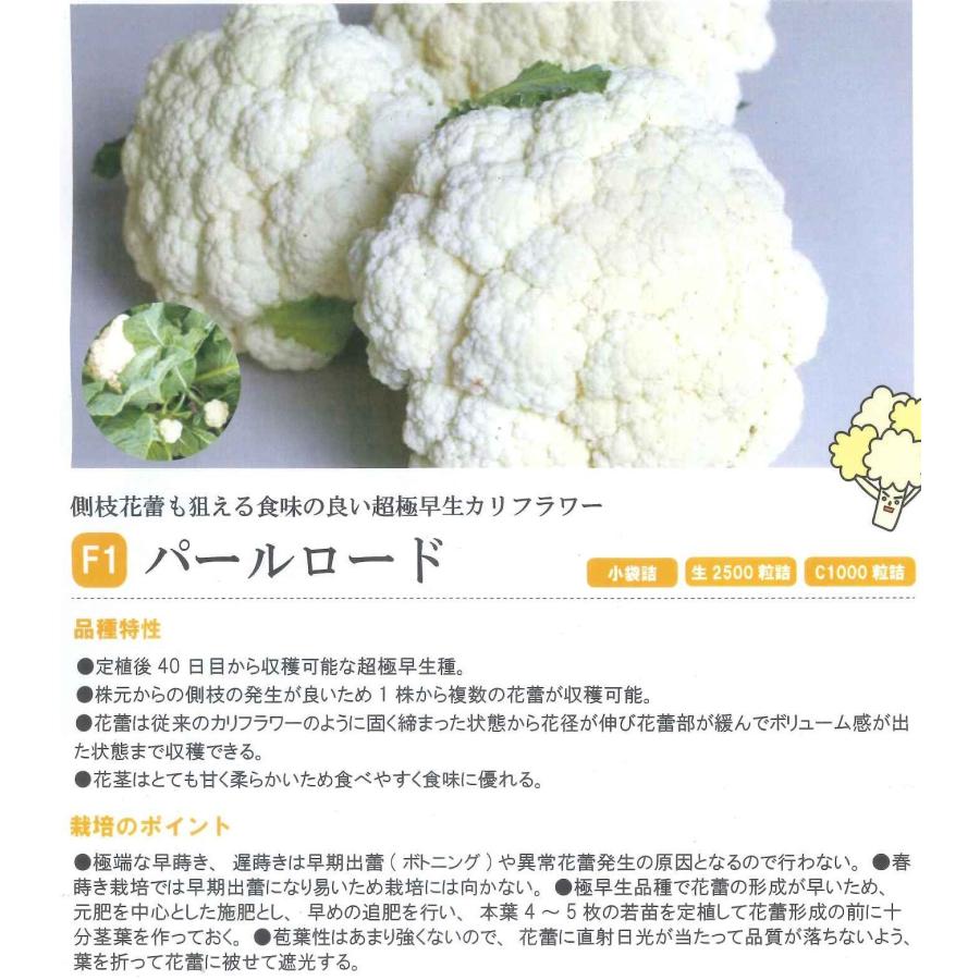 野菜種子 超極早生カリフラワー「パールロード」 2,500粒（松永種苗）【送料込み】_2