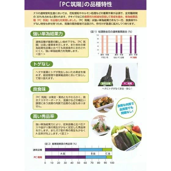 野菜種子 ナス「PC筑陽」 1，000粒（タキイ種苗）【送料込み】 長茄子 ながなす ピーシーちくよう ピーシーチクヨウ_1