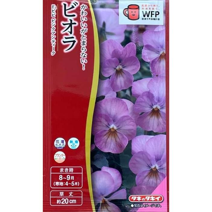 花種子 ビオラ「ビビ ピンクアンティーク」 0.2ml（タキイ種苗）【送料