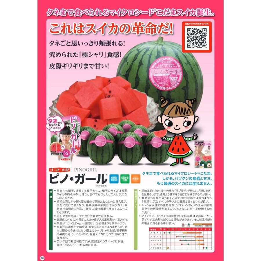 野菜種子 小玉スイカ「ピノ・ガール」 20粒（ナント種苗）【送料込み