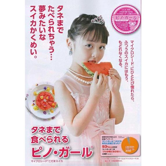 野菜種子 小玉スイカ「ピノ・ガール」 20粒（ナント種苗）【送料込み
