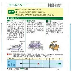 野菜種子 大玉タマネギ「ポールスター100」 1dl（渡辺採種場）【送料込み】 野菜 種 玉葱 玉ネギ 玉ねぎ たまねぎ 中生 貯蔵性 肥大性 多収 春まき 家庭菜園_2