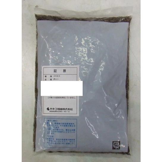 花種子 コスモス「ポニー（矮性）」 500g（カネコ種苗）【送料込み】 秋桜 アキザクラ 大春車菊 オオハルシャギク 景観形成 赤・白・ピンク 混合の画像
