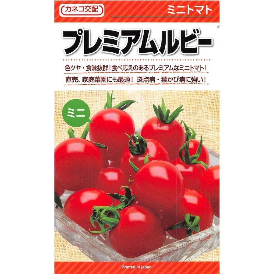 野菜種子 ミニトマト「プレミアムルビー」 1,000粒（カネコ種苗）【送料込み】 家庭菜園 直売所向け 複合耐病虫性 | 