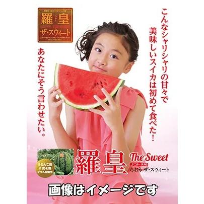野菜種子 赤肉大玉スイカ「羅皇ザ・スウィート」 7粒（ナント種苗）【送料込み】 ラオウザスウィート ラオウザスイート 西瓜 すいか 耐病性 高糖度 NW-139（Yahoo!・鈴乃園 Yahoo!ショッピング店）