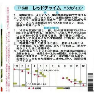 野菜種子 まんまるハツカダイコン「レッドチャイム」 2dl（サカタのタネ）【送料込み】 二十日大根 はつかだいこんの画像