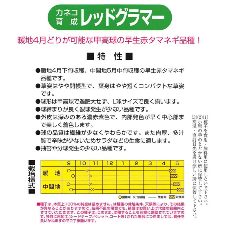 野菜種子 赤タマネギ「レッドグラマー」 1dl（カネコ種苗）【送料込み】 れっどぐらまー 赤玉葱 玉ネギ あかたまねぎ 早生 PVP農林水産省登録品種（KA-957）の画像