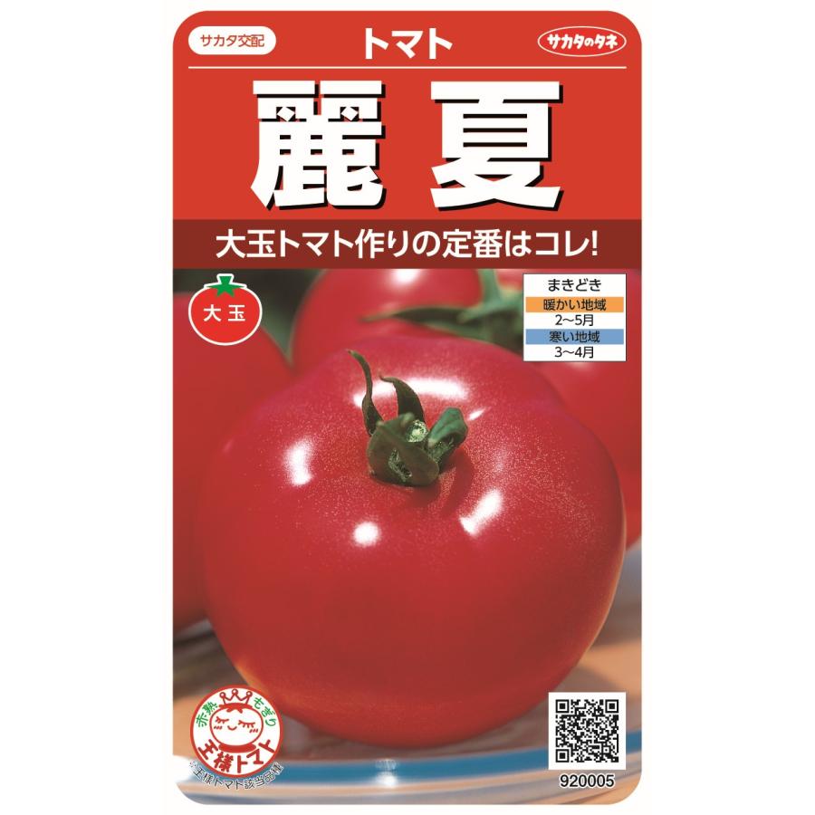 野菜種子 大玉トマト「麗夏」 21粒（サカタのタネ）【送料込み