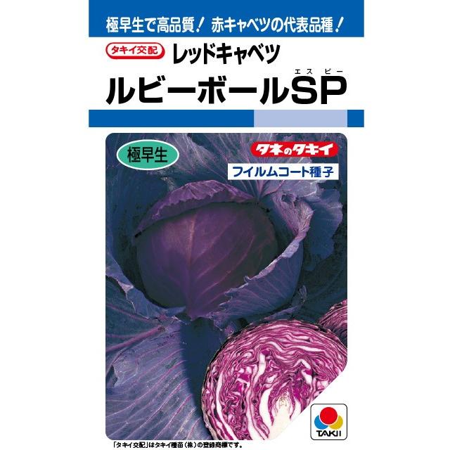 野菜種子 レッドキャベツ「ルビーボールSP」 2,000粒（タキイ種苗）【送料込み】 ルビーボールエスピー 赤甘藍 あかきゃべつ 極早生 耐暑性 結球性 | 