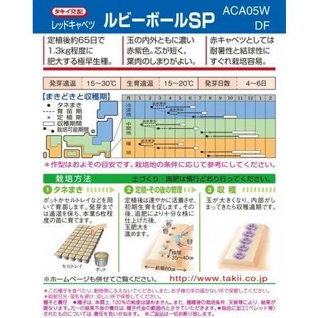 野菜種子 レッドキャベツ「ルビーボールSP」 2,000粒（タキイ種苗）【送料込み】 ルビーボールエスピー 赤甘藍 あかきゃべつ 極早生 耐暑性 結球性 |  | 01