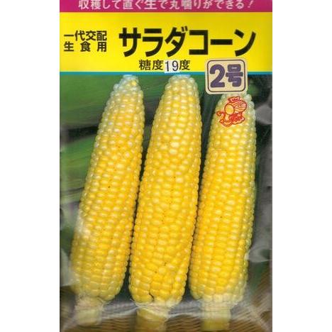 野菜種子 フルーツコーン「サラダコーン2号」 40粒（福種）【送料込み