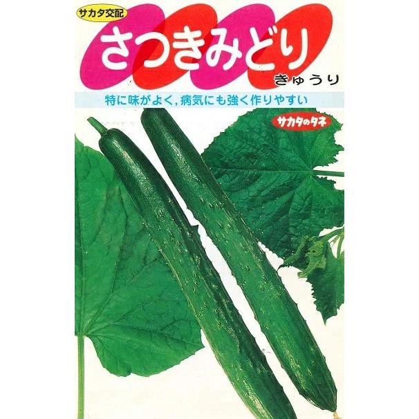 野菜種子 キュウリ「さつきみどり」 17粒（サカタのタネ）【送料込み