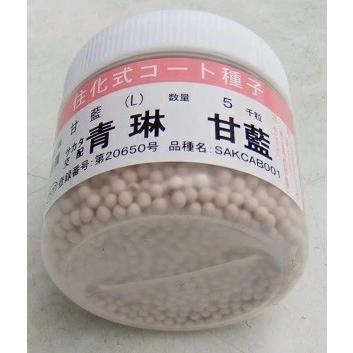 野菜種子 キャベツ「青琳」 Lコート5,000粒（サカタのタネ）【送料込み】 せいりん セイリン 甘藍 きゃべつ 中早生 PVP農林水産省登録品種（品種名：SAKCAB001）の画像