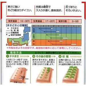 野菜種子 ダイコン「千都」 2dl（タキイ種苗）【送料込み】 せんと セント 青首総太り大根 だいこん 市場性 耐寒性 高秀品率 貯蔵性の画像